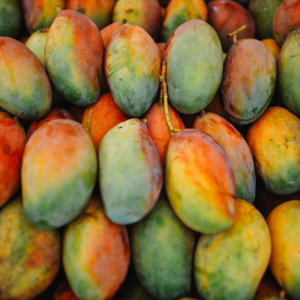 Mangues Osteen BIO 4Kg