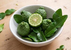 Citron Vert Makrut (Combava) BIO, 5 pièces, feuilles incluses